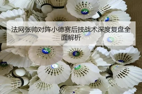 法网张帅对阵小德赛后技战术深度复盘全面解析